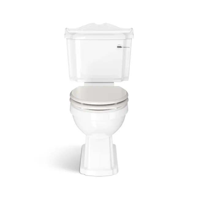 Lima Traditional Close Coupled Toilet With Cotton White Wooden Seat