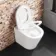 Boston Rimless Back To Wall Toilet With Premium Soft Close Seat