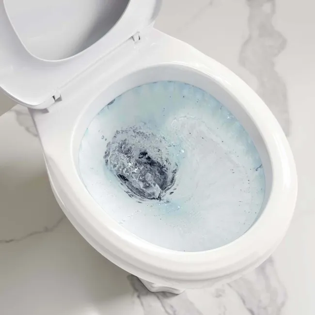 Hudson Traditional Close Coupled Toilet With Soft Close Seat