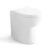 Austin Back To Wall Toilet With Soft Close Seat