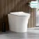 Tucson Rimless Back To Wall Toilet With Premium Soft Close Slim Seat