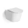 Loma Rimless Wall Hung Toilet With Premium Soft Close Slim Seat