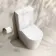 Loma Matt White Rimless Fully Back To Wall Close Coupled Toilet With Premium Soft Close Seat