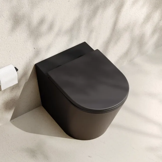 Loma Matt Black Rimless Back To Wall Toilet With Premium Soft Close Slim Seat