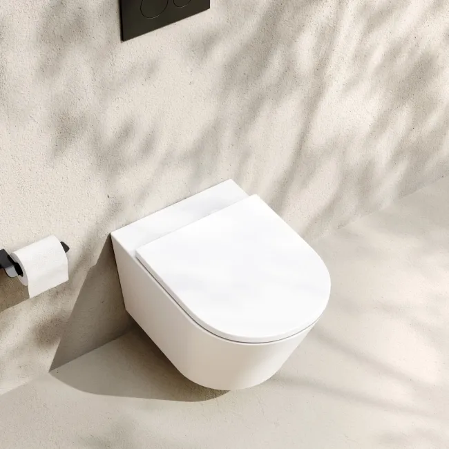 Loma Matt White Rimless Wall Hung Toilet With Premium Soft Close Seat