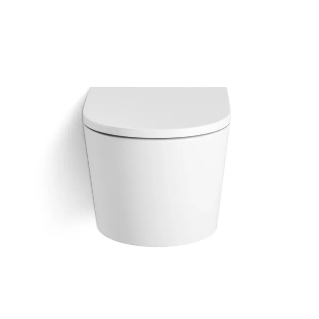 Loma Matt White Rimless Wall Hung Toilet With Premium Soft Close Seat