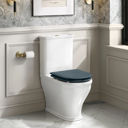 Toilet Image image